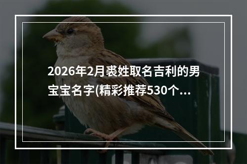 2026年2月裘姓取名吉利的男宝宝名字(精彩推荐530个)