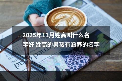 2025年11月姓高叫什么名字好 姓高的男孩有涵养的名字