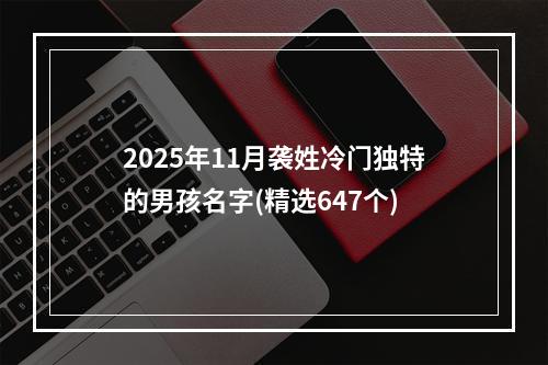 2025年11月袭姓冷门独特的男孩名字(精选647个)