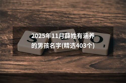 2025年11月薛姓有涵养的男孩名字(精选403个)