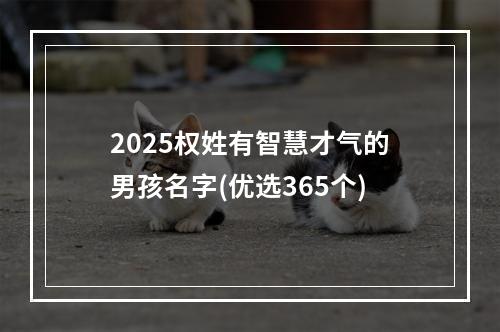 2025权姓有智慧才气的男孩名字(优选365个)