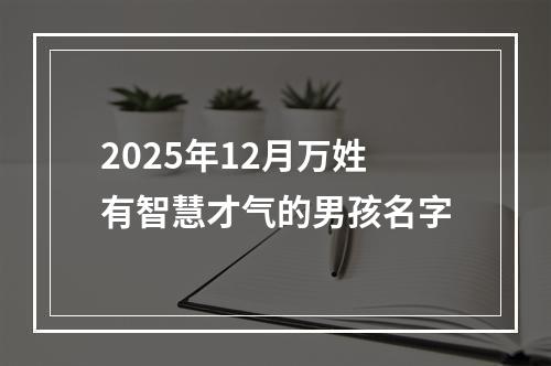 2025年12月万姓有智慧才气的男孩名字
