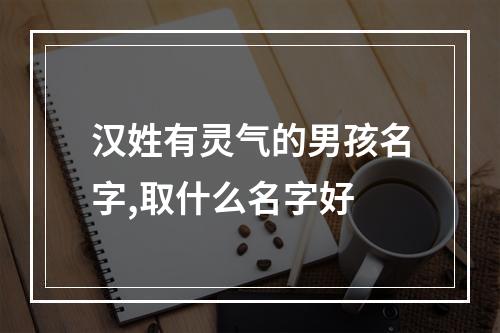 汉姓有灵气的男孩名字,取什么名字好