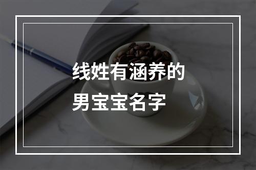 线姓有涵养的男宝宝名字