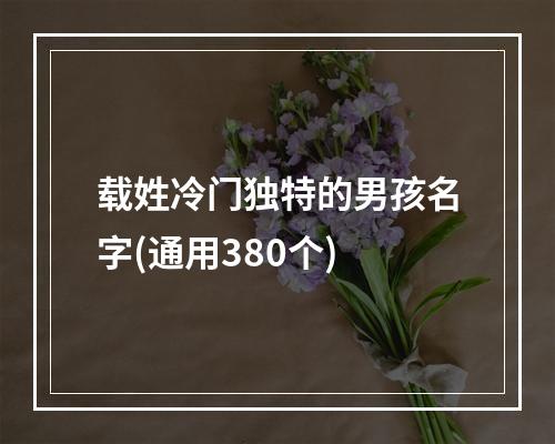载姓冷门独特的男孩名字(通用380个)
