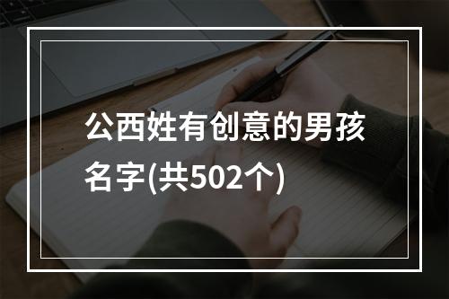 公西姓有创意的男孩名字(共502个)