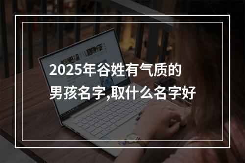 2025年谷姓有气质的男孩名字,取什么名字好