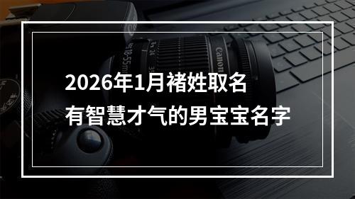 2026年1月褚姓取名有智慧才气的男宝宝名字