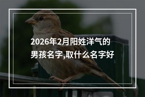 2026年2月阳姓洋气的男孩名字,取什么名字好