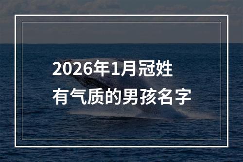 2026年1月冠姓有气质的男孩名字