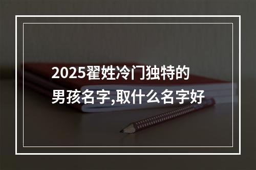 2025翟姓冷门独特的男孩名字,取什么名字好