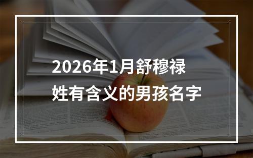 2026年1月舒穆禄姓有含义的男孩名字