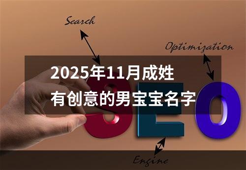2025年11月成姓有创意的男宝宝名字