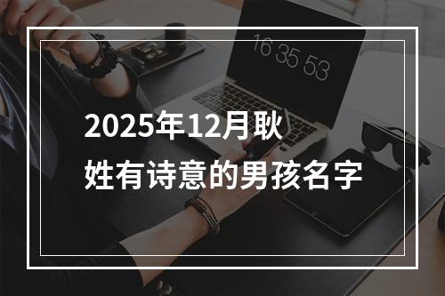 2025年12月耿姓有诗意的男孩名字