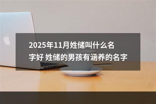 2025年11月姓储叫什么名字好 姓储的男孩有涵养的名字