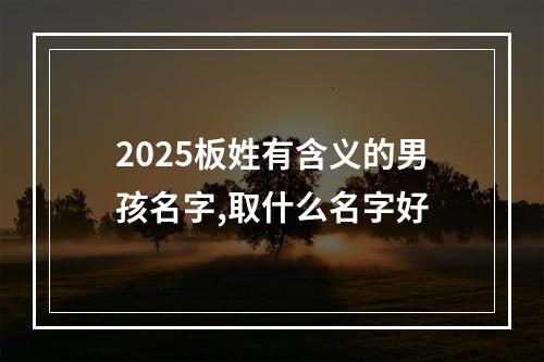 2025板姓有含义的男孩名字,取什么名字好