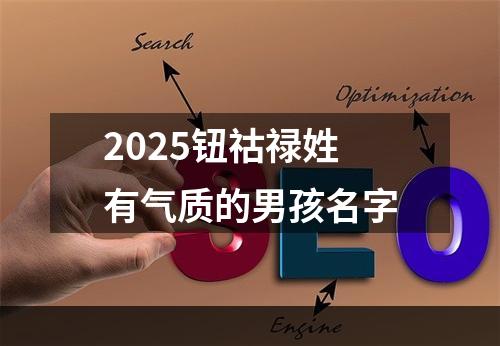 2025钮祜禄姓有气质的男孩名字