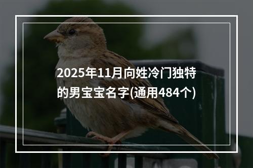 2025年11月向姓冷门独特的男宝宝名字(通用484个)