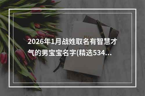 2026年1月战姓取名有智慧才气的男宝宝名字(精选534个)