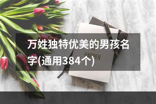 万姓独特优美的男孩名字(通用384个)