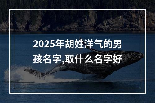 2025年胡姓洋气的男孩名字,取什么名字好