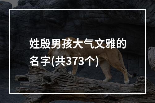 姓殷男孩大气文雅的名字(共373个)