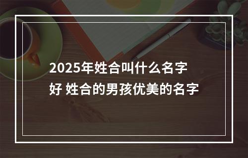 2025年姓合叫什么名字好 姓合的男孩优美的名字
