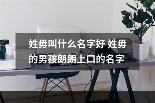 姓毋叫什么名字好 姓毋的男孩朗朗上口的名字