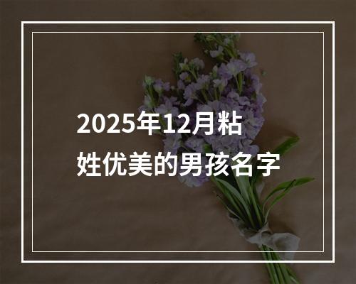 2025年12月粘姓优美的男孩名字