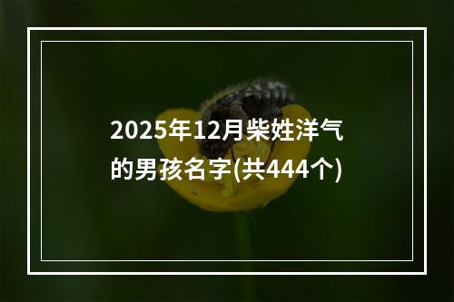 2025年12月柴姓洋气的男孩名字(共444个)