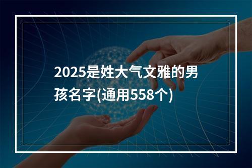 2025是姓大气文雅的男孩名字(通用558个)