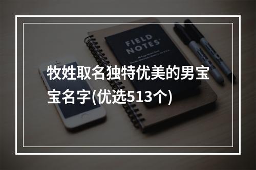 牧姓取名独特优美的男宝宝名字(优选513个)