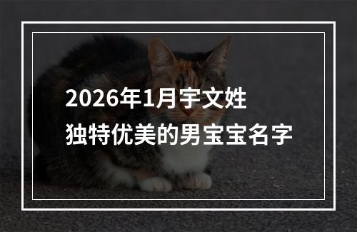 2026年1月宇文姓独特优美的男宝宝名字