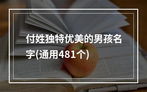 付姓独特优美的男孩名字(通用481个)