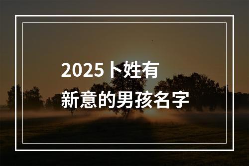 2025卜姓有新意的男孩名字