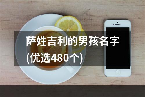 萨姓吉利的男孩名字(优选480个)