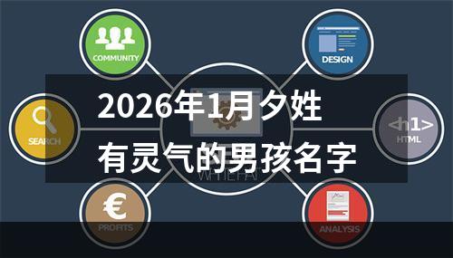 2026年1月夕姓有灵气的男孩名字