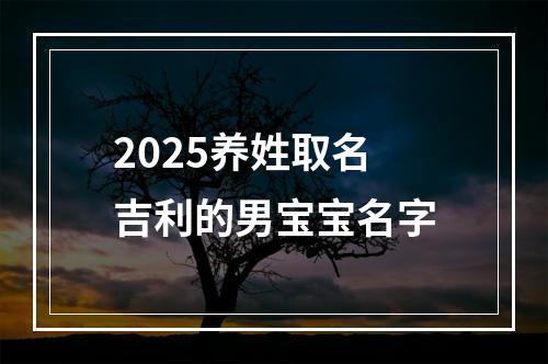 2025养姓取名吉利的男宝宝名字