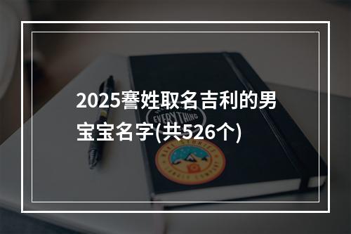 2025謇姓取名吉利的男宝宝名字(共526个)
