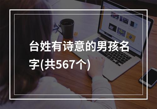 台姓有诗意的男孩名字(共567个)