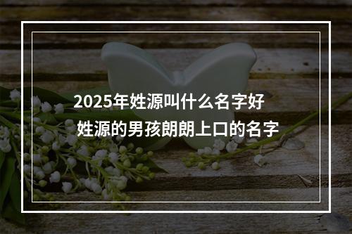 2025年姓源叫什么名字好 姓源的男孩朗朗上口的名字