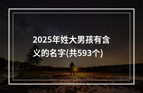 2025年姓大男孩有含义的名字(共593个)