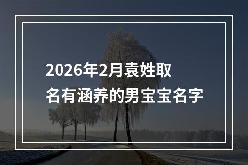 2026年2月袁姓取名有涵养的男宝宝名字