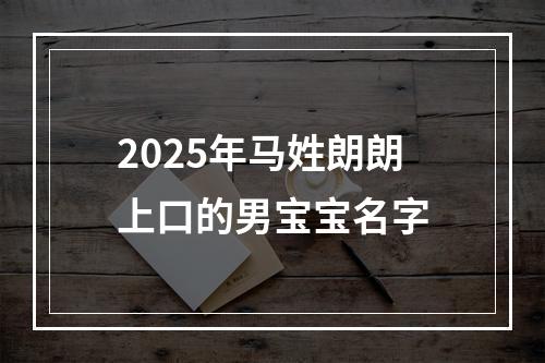 2025年马姓朗朗上口的男宝宝名字
