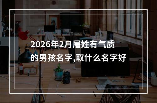 2026年2月屠姓有气质的男孩名字,取什么名字好