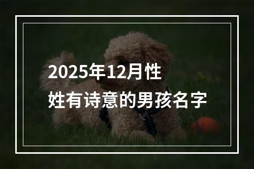 2025年12月性姓有诗意的男孩名字