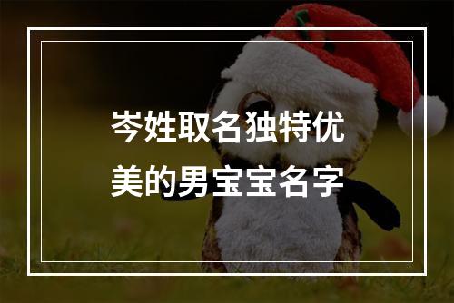岑姓取名独特优美的男宝宝名字