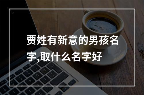 贾姓有新意的男孩名字,取什么名字好