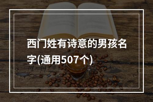 西门姓有诗意的男孩名字(通用507个)