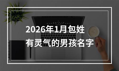 2026年1月包姓有灵气的男孩名字